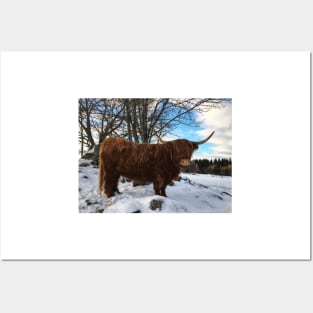 Scottish Highland Cattle Cow 2307 Posters and Art